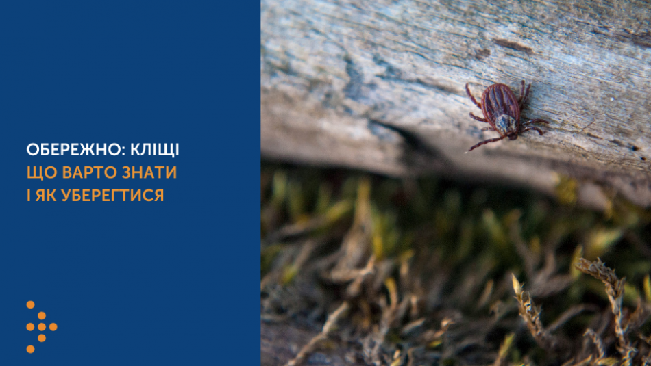 ЯК УБЕРЕГТИСЯ ВІД КЛІЩІВ